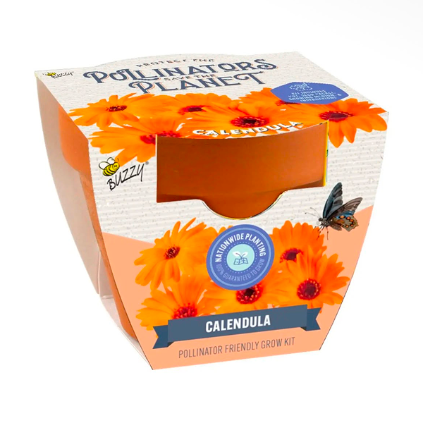 Calendula - Image 3
