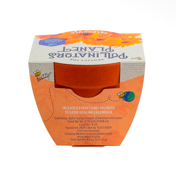 Calendula - Image 4