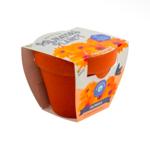 Calendula