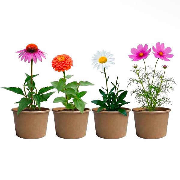 Paper Cups Pollinator Seeds - Image 3